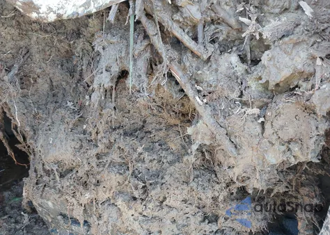 2021 GMC Canyon 4Wd Elevation Standard из США, поврежденный, VIN 1GTH6BEN2M1216465